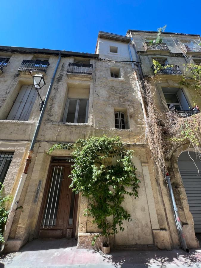 Charmant Studio Au Coeur De L'Ecusson Montpellier Exterior photo